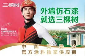 三棵树蝉联"2024年中国零售仿石涂料30强"榜单榜首图片