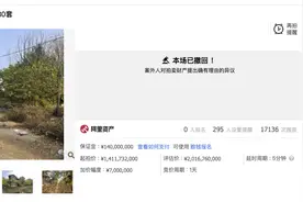 北京顺义180套枫桥别墅整体拍卖被撤回图片