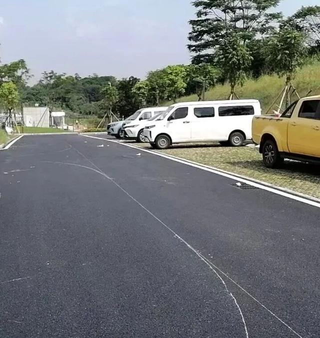停车位增加、打卡地更新！东莞这些公园上新啦！
