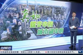真如，蝶变中的城市副中心图片