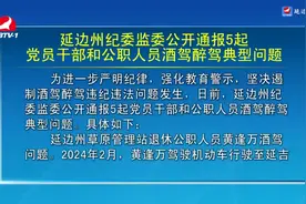 【视频新闻】延边州纪委监委公开通报5起党员干部和公职人员酒驾醉驾典型问题图片