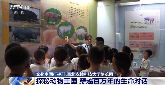 文化中国行丨探秘中华第一“虫羽”宝库 来这上一堂最生动自然课