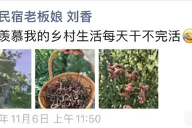 浙江女子晒出一张照片，以前满地捡，现在找不到了……图片