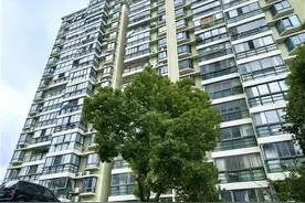 探访上海“拆迁款最高超2000万”小区：入住仅20年，如期搬迁可获约200万元奖励图片