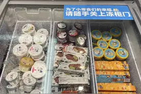 冰淇淋重回5元时代，网红品牌退潮，蒙牛伊利们笑到最后？图片