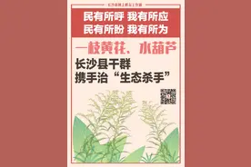 一周为民办事｜一枝黄花、水葫芦 长沙县干群携手治“生态杀手”图片