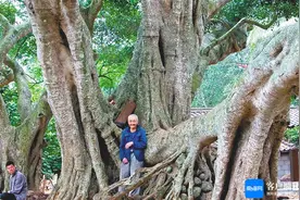 海南周刊 | 海南话地名常用字有哪些？图片