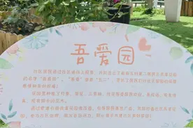 花香四溢，宝山这个共享花园等你来邂逅~图片