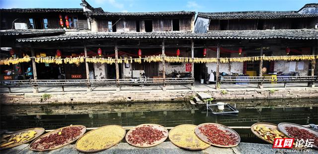秋游时刻丨漫步黄山唐模村，在水街畔感受一场秋的慢调