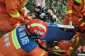 闽北村民进山采菇误踩野猪夹被困 消防进山成功营救图片