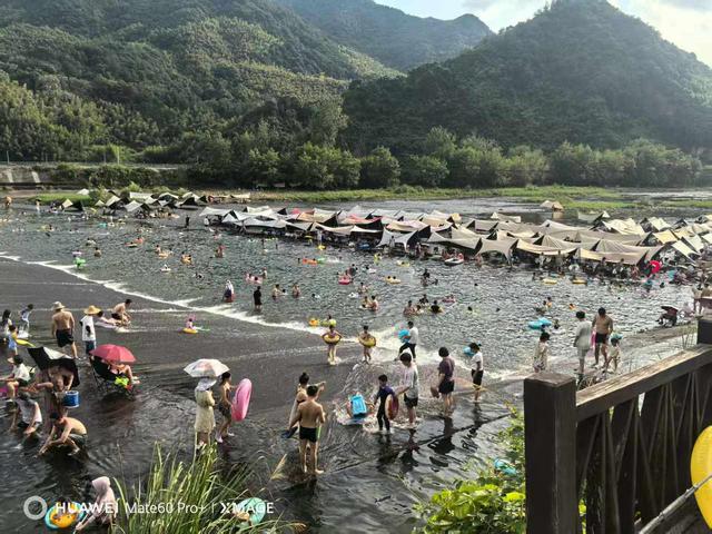 高峰期每天2.5万人涌入，杭州这里爆火，游客：跟“下饺子”一样