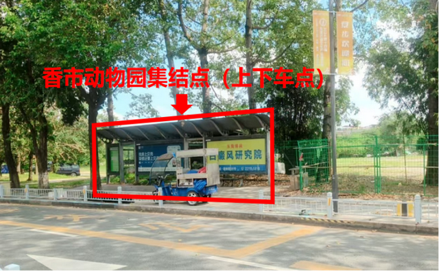 本周六，东莞篮球中心、山姆周边将出现交通高峰！附攻略→