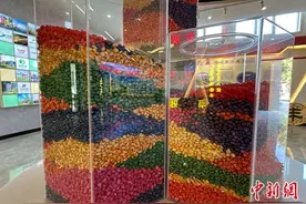 甘肃临泽：一粒种子的“逆袭”之路图片