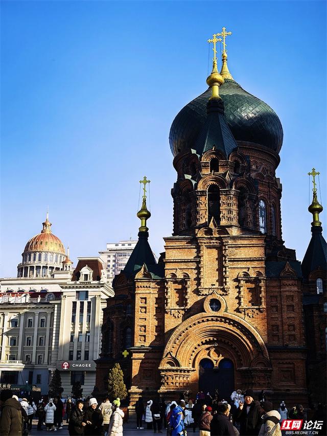 岁暖时刻丨来哈尔滨，一定要走一次中央大街