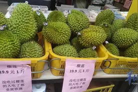 榴莲在家也能种？网上卖的榴莲苗真能结果吗？记者调查→图片