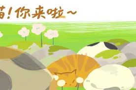 为了带狗回家过年，大家的操作能有多野？图片