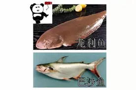 龙利鱼？巴沙鱼？哪个是“李逵”哪个是“李鬼”？图片
