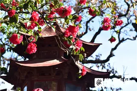 夯实基础 丰富内涵 彰显“历史文化名城”独特魅力图片