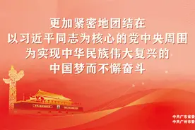 胡博士说中医｜春日木棉花，祛湿顶呱呱图片