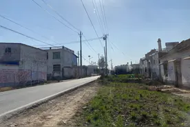 这个皖北小村，豢养着约1000只老虎 村民：“养不起，扔不掉”图片