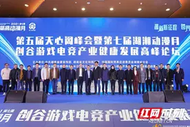 专家齐聚长沙创谷 共谋游戏电竞产业健康发展之路图片