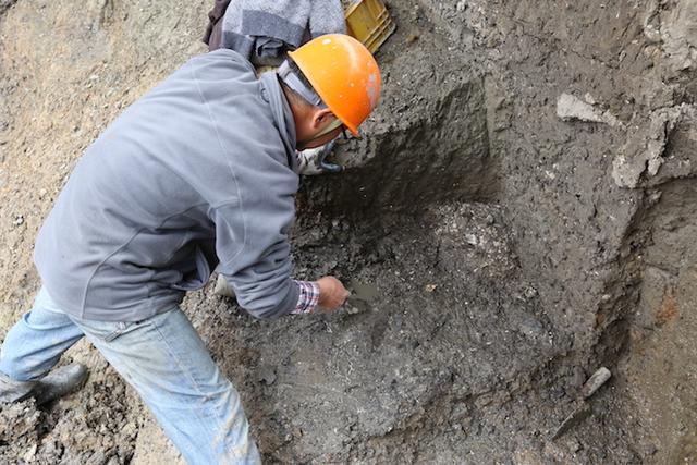 梦到鱼的鱼鳞掉