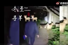 民警找回走失山羊次日收到一锅羊汤，羊：还不如走丢了图片