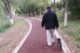 老人与狗的故事（小小说）图片