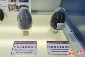 武汉这一团队研发神奇“内芯”，让冬奥会安保防寒服瞬间变暖图片