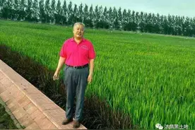 想起儿时的馍事儿/杨延斌图片