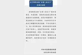 胡锡进：精神失常妈妈生8个孩子，权益没有得到应有保护图片