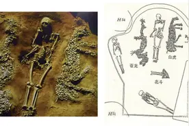 人虎之间：从震敌驱邪到骑虎登仙图片