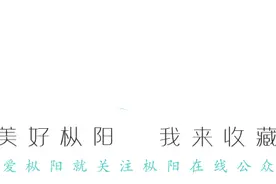 现场直击 | 今天，枞阳高三学生复课啦！加油，少年！图片
