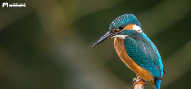 甜甜的身体乳会吸引蟑螂吗