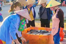 沉醉在崖州中心渔港图片