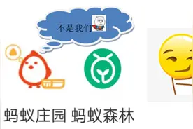 小蚂蚁撬动碳循环图片