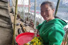 云南马吉米村有位勤劳善良的傈僳族妇女图片