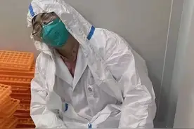 睡姿让人泪目！希望所有“大白”都能睡个好觉图片