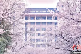 樱花的花期到底有多久？中国从南到北可“美”上半年图片