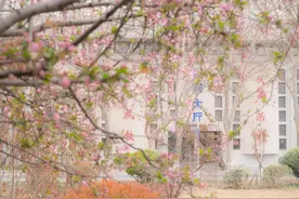 关于2022年清明节安排的通知图片