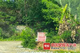 加油像特工接头、油品质量参差不齐，频频“闯祸”的私油要怎么监管？图片