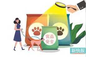 业内呼吁制定完善标准 保护宠物“舌尖上的安全”图片