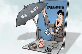 出售人工繁育动物除罪、轻罪化，回到野生动物保护初衷丨快评图片