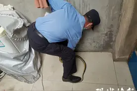 女子准备洗澡发现热水器上盘着一条蛇，出警辅警变身“捕蛇者”图片