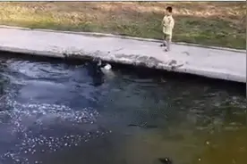 65岁老兵水中托举救男童，帅图片