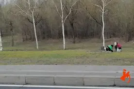 年年提醒年年挖？专家喊话：不！能！吃图片