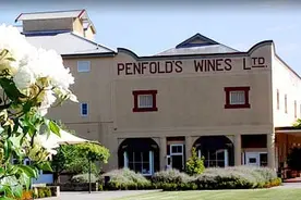 中国市场真香：澳大利亚葡萄酒品牌奔富点赞宁夏云南葡萄，将推出“中国制造”产品图片