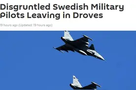 外媒：因对工资、职业发展不满，瑞典空军大量飞行员选择离开图片