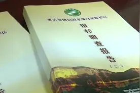 572株！金佛山野生银杉数量首次确认图片