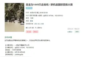 飞丢无人机，“少量费用”换机竟达购机价一半？大疆回应图片